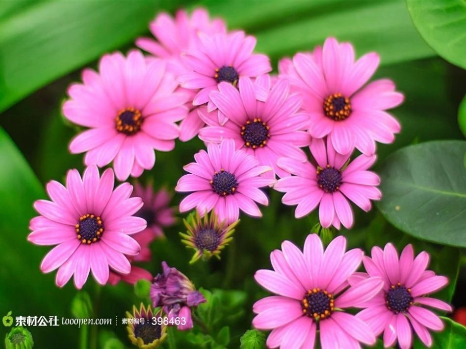 田园风光习作课件_第3页