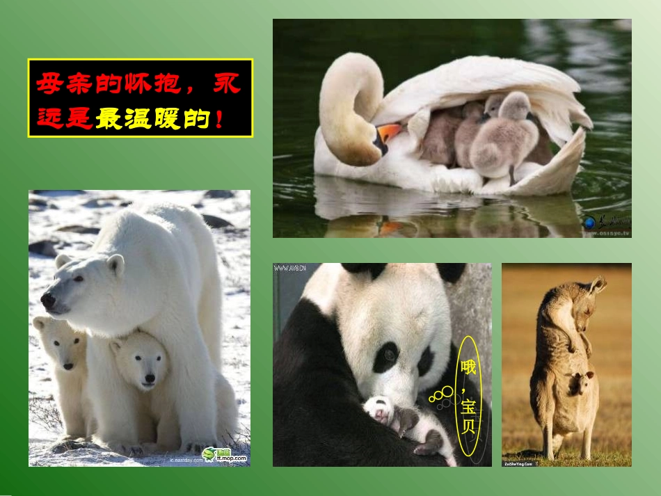 献给母亲的歌_第3页