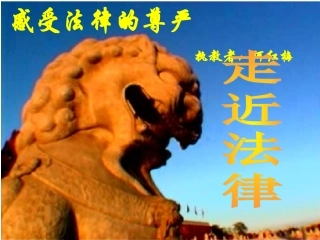 【精品课件】第五单元第一节法律是什么