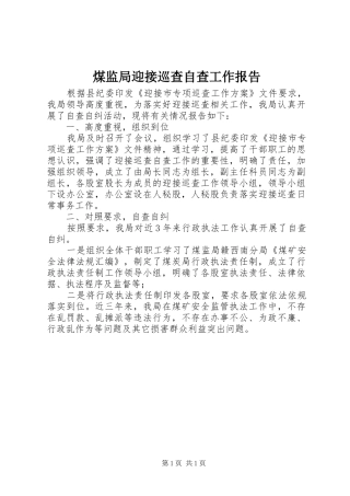 煤监局迎接巡查自查工作报告