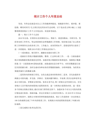 统计工作个人年度总结 