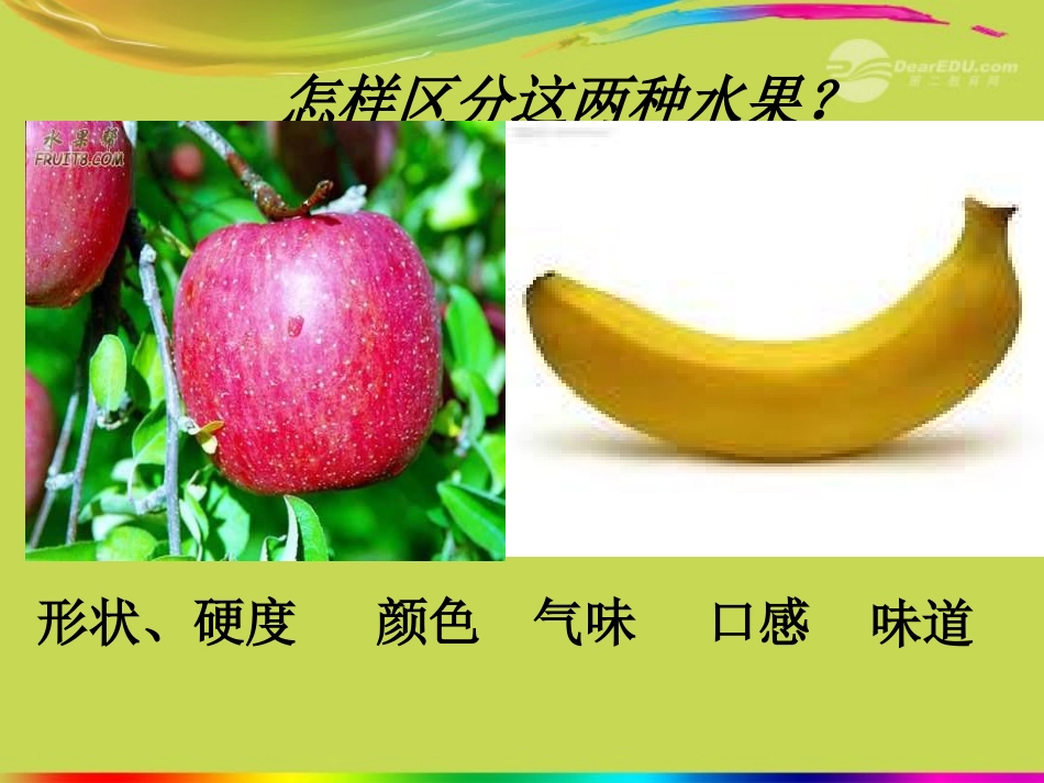 八年级生物上册_第1节_遗传和变异现象教学课件_北师大版_第3页