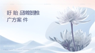 盱眙龙虾品牌管理及推广方案课件