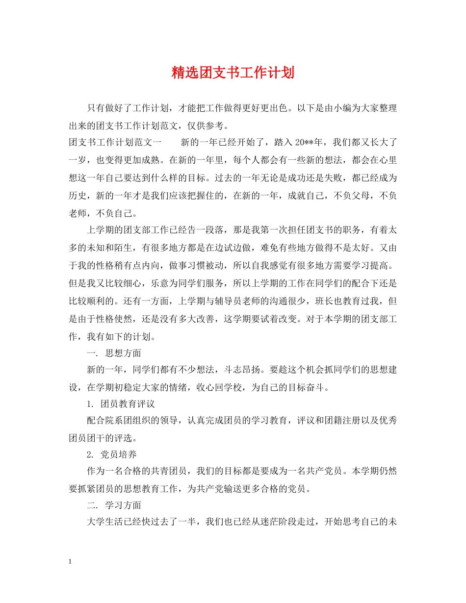 精选团支书工作计划 _第1页