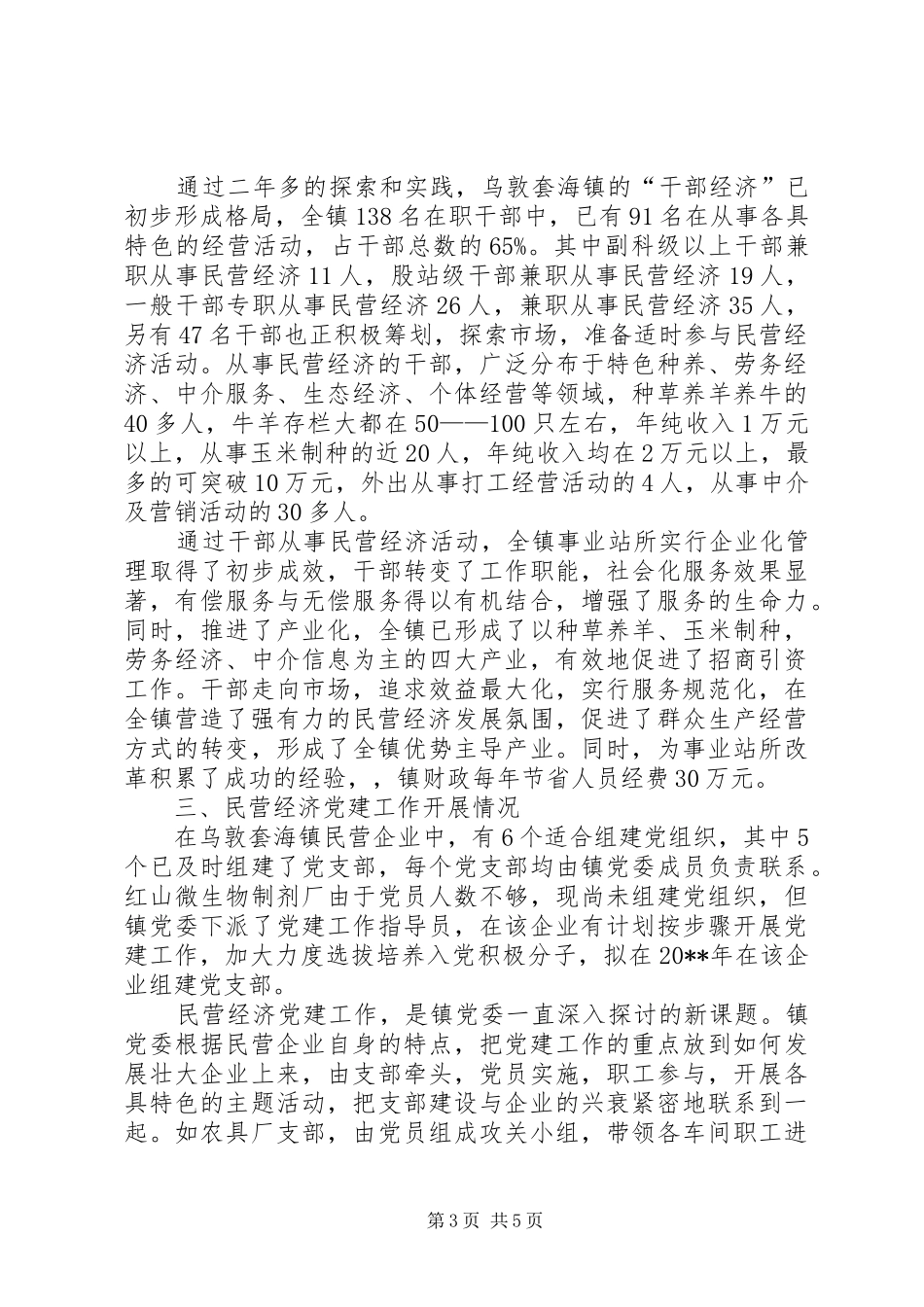 深入推进“旗域经济民营化”战略问题调研报告_第3页