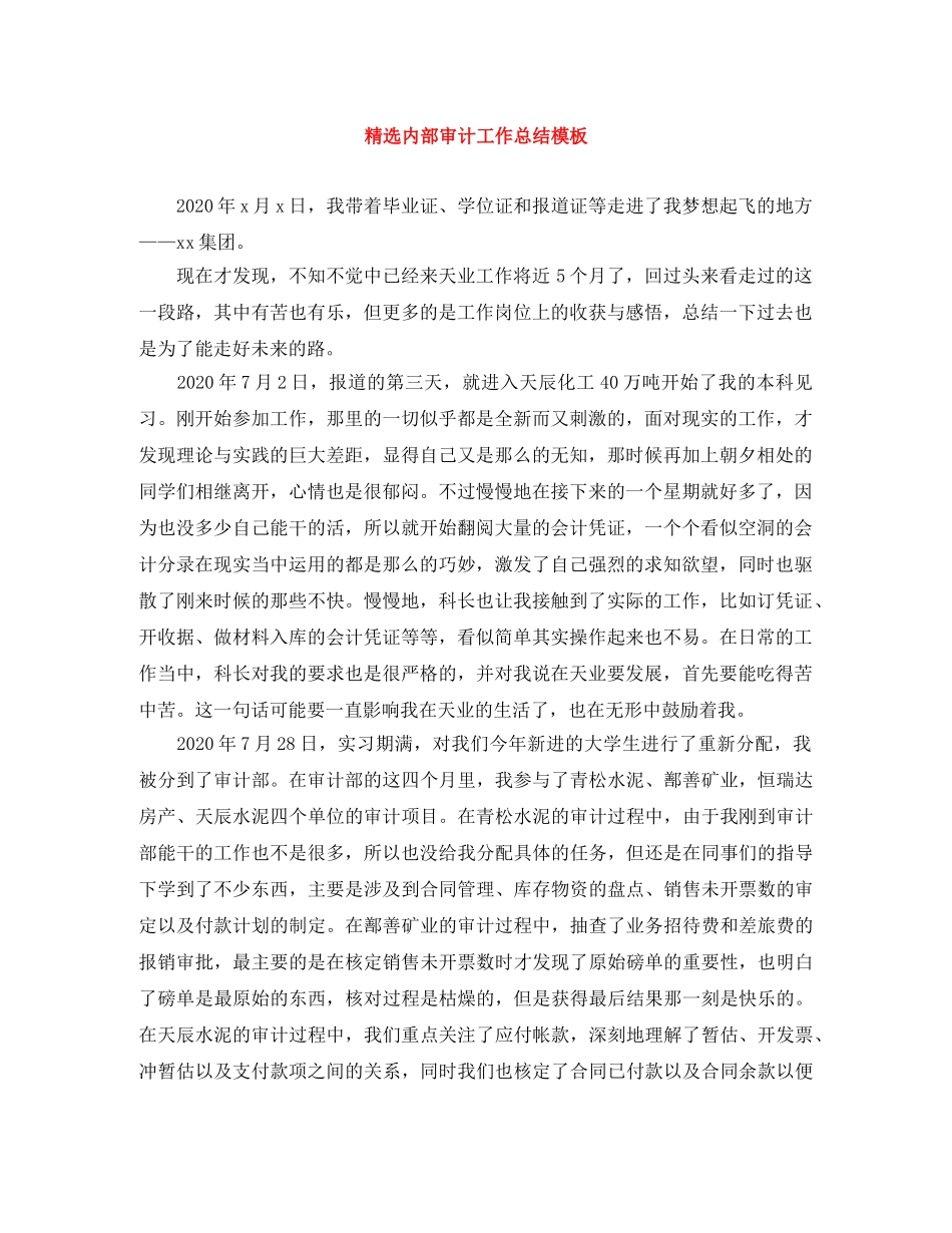 精选内部审计工作总结模板 _第1页