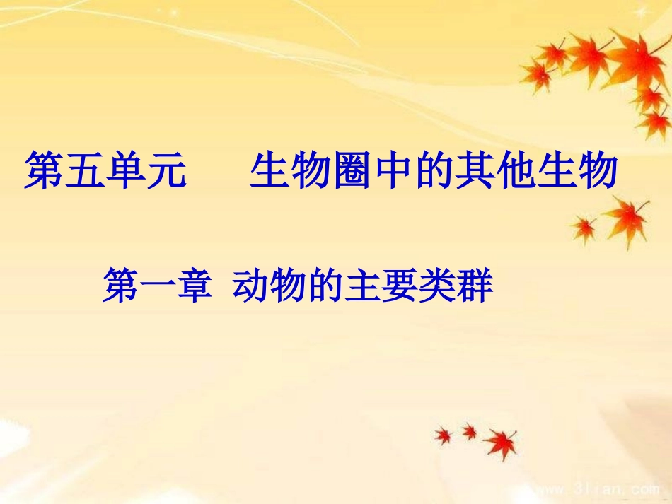 《腔肠动物和扁形动物》课件_第1页