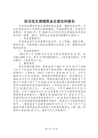 涉及民生领域资金自查自纠报告