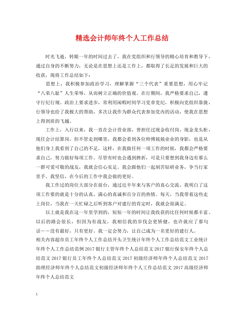 精选会计师年终个人工作总结 _第1页