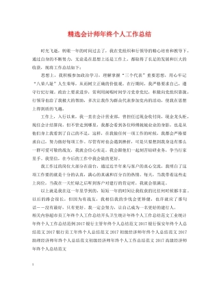 精选会计师年终个人工作总结 