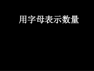 用字母表示数量