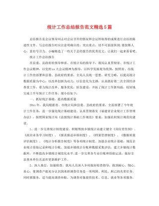 统计工作总结报告范文精选5篇 