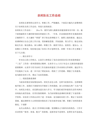 农村队长工作总结 