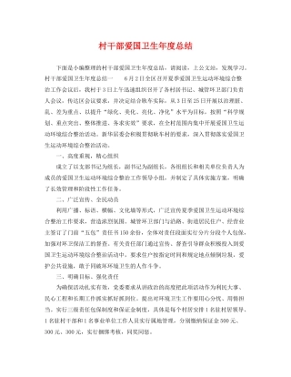 村干部爱国卫生年度总结 