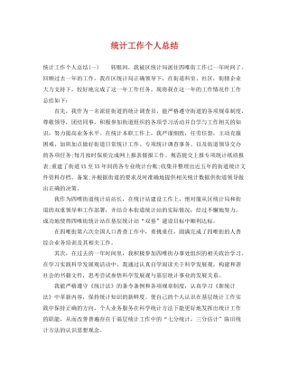 统计工作个人总结 
