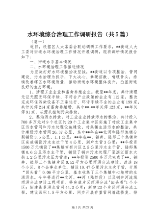 水环境综合治理工作调研报告（共5篇）