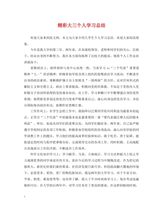 精彩大三个人学习总结 