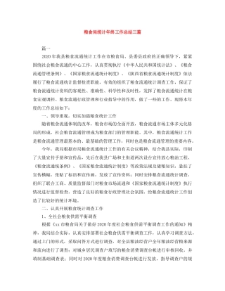 粮食局统计年终工作总结三篇 