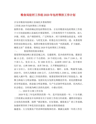 粮食局驻村工作组2020年包村帮扶工作计划 