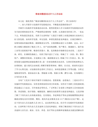 粮食局稽查队队员个人工作总结 