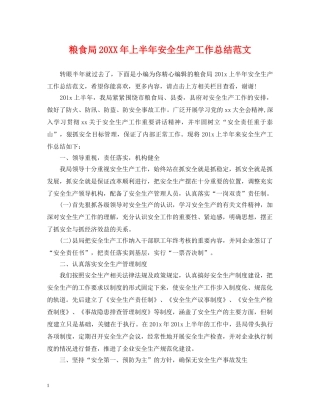 粮食局20XX年上半年安全生产工作总结范文 