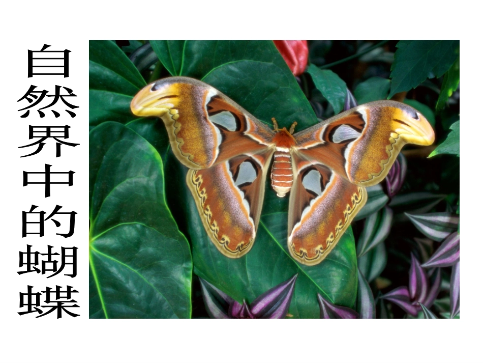 《巧用对称形》[1]1 (2)_第1页