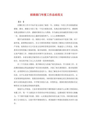 招商部门年度工作总结范文 