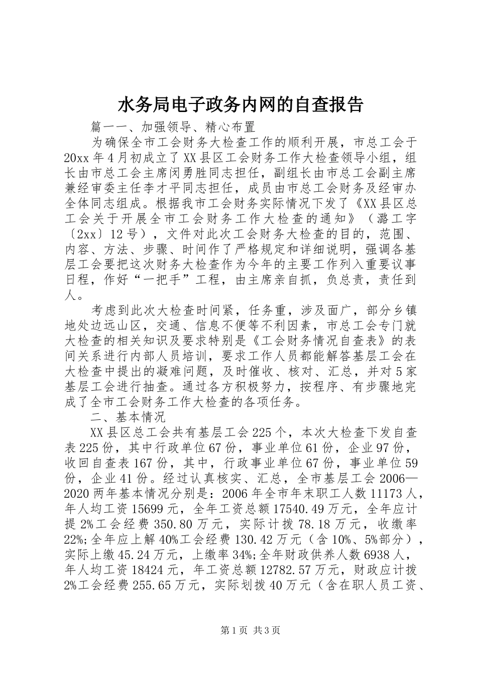 水务局电子政务内网的自查报告_第1页