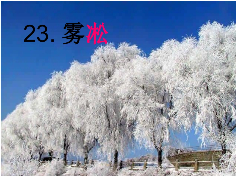 《雾凇》课件_第2页