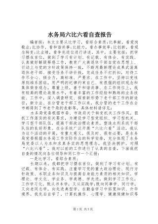 水务局六比六看自查报告