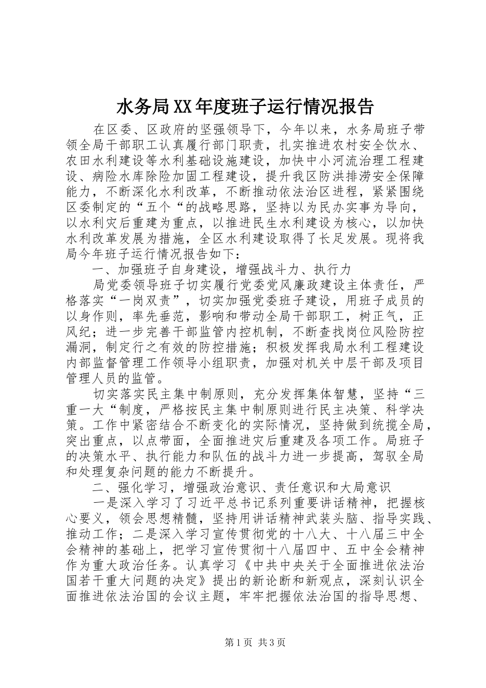 水务局XX年度班子运行情况报告_第1页