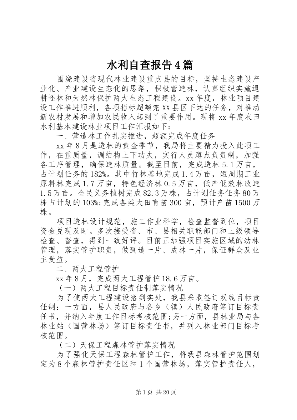 水利自查报告4篇_第1页