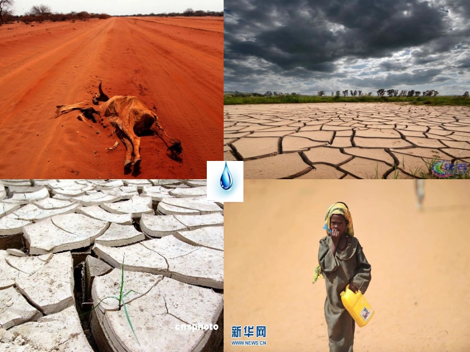 我们同属一个世界课件_第2页