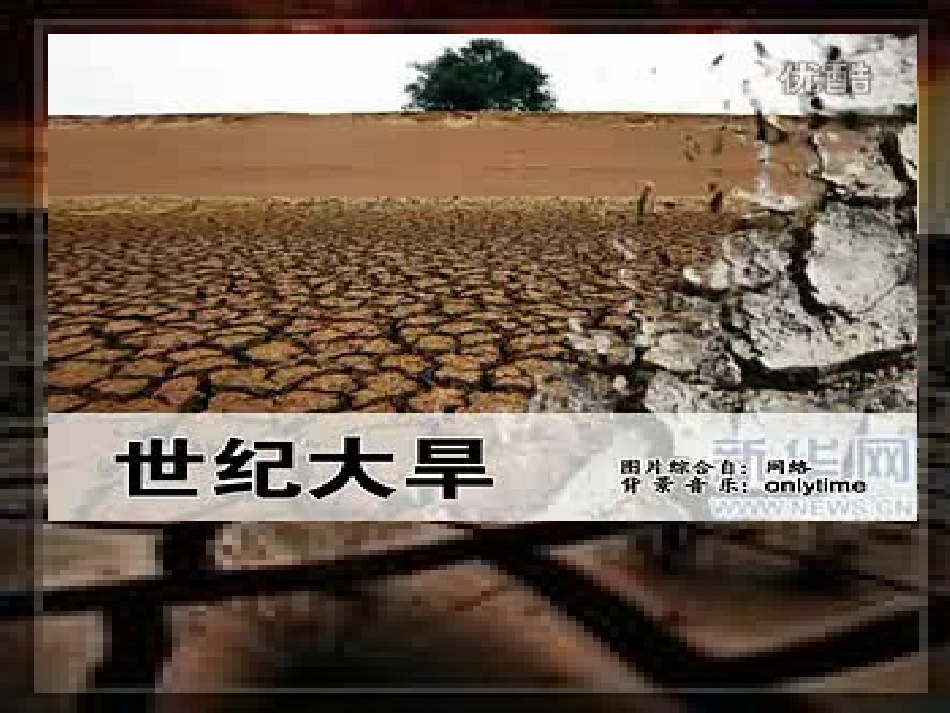 我们同属一个世界课件_第3页