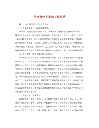 年度审计人员的工作总结 