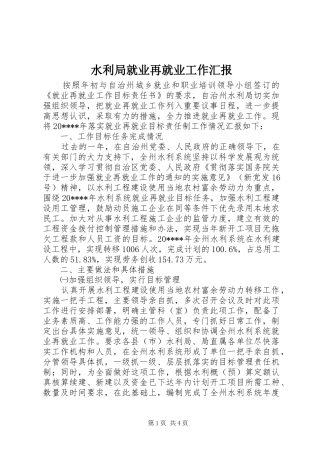 水利局就业再就业工作汇报