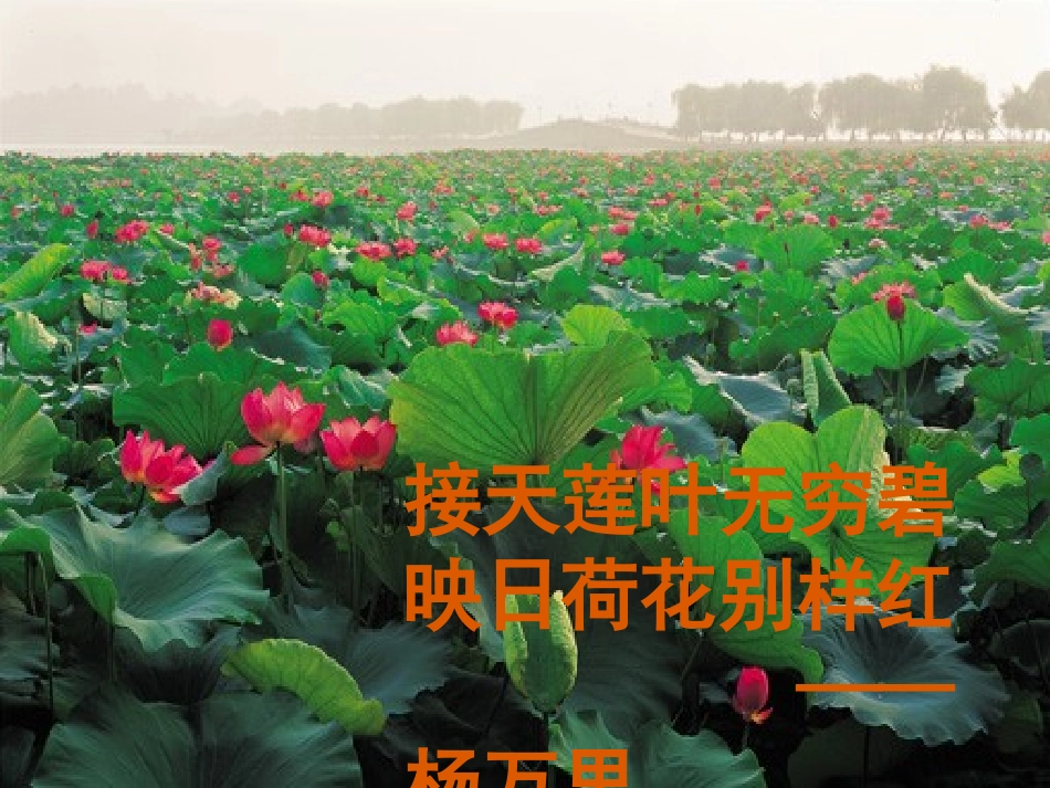 湖心亭看雪课件_第2页