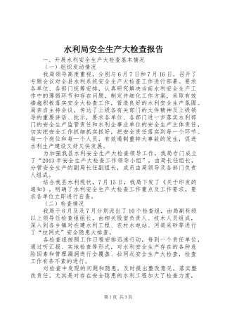 水利局安全生产大检查报告
