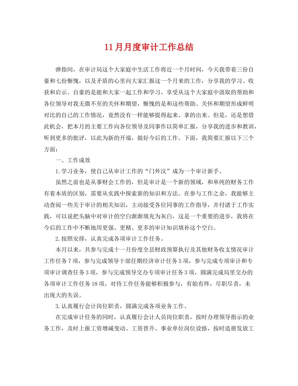 11月月度审计工作总结 _第1页
