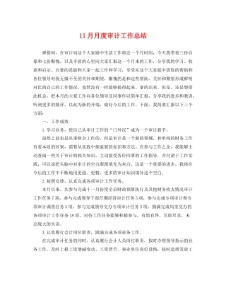 11月月度审计工作总结 