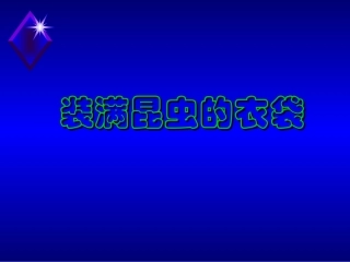 装满昆虫的口袋课件