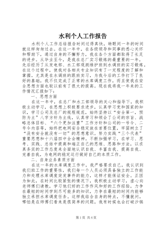 水利个人工作报告