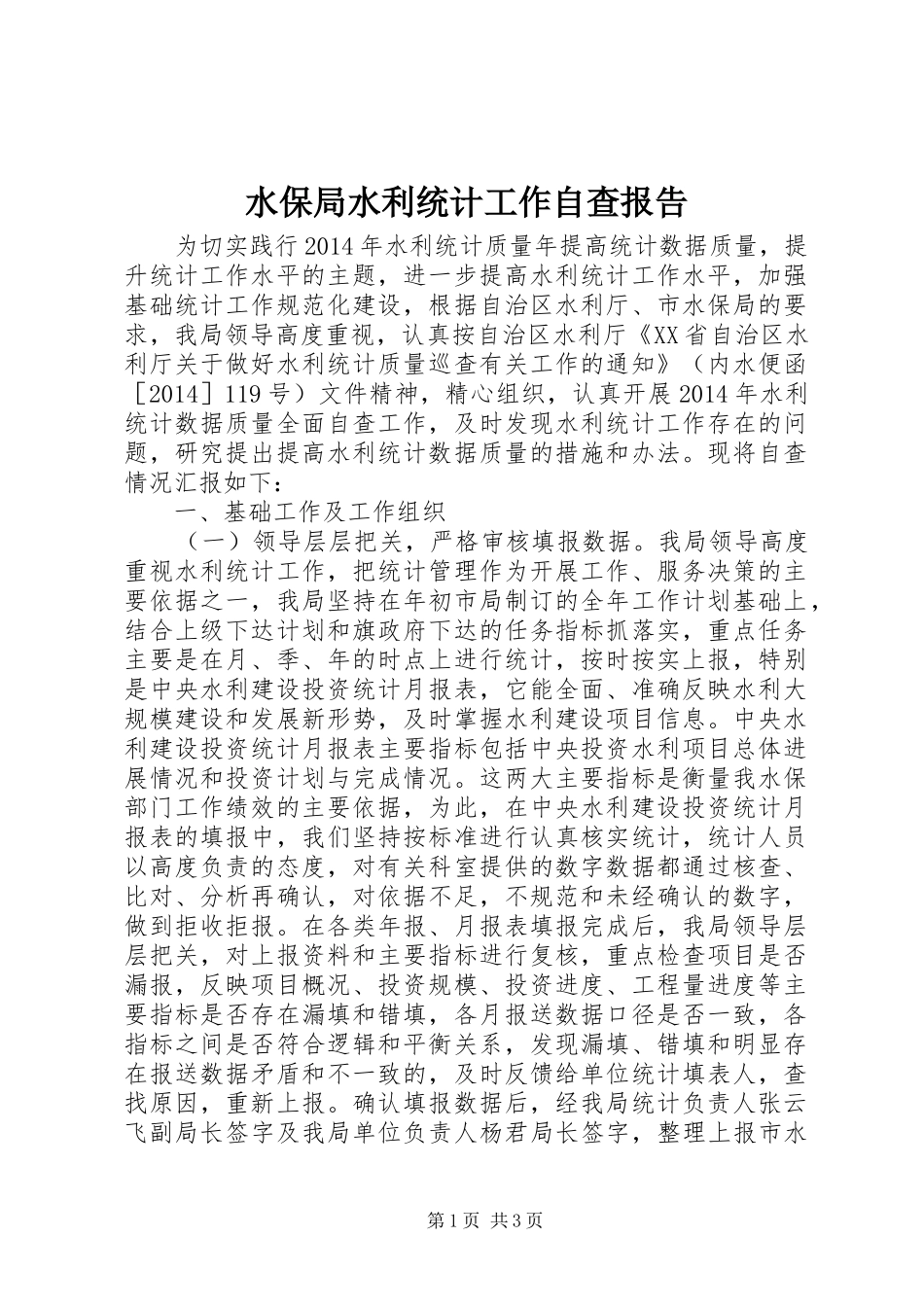 水保局水利统计工作自查报告_第1页