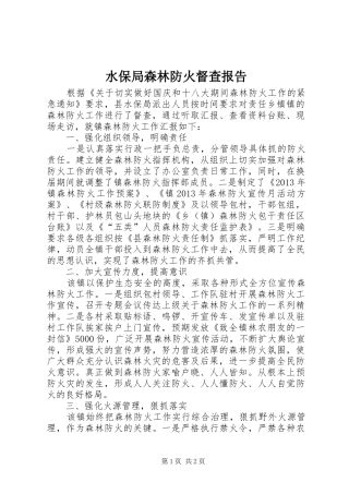 水保局森林防火督查报告