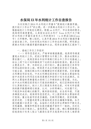 水保局XX年水利统计工作自查报告