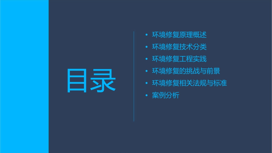 环境修复原理与技术绪论课件_第2页