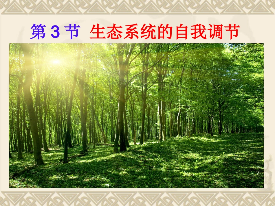 《生态系统的自我调节》-靳四红_第1页