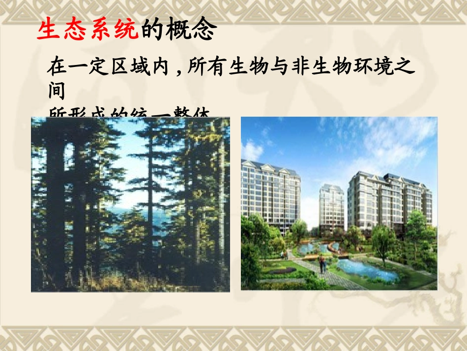 《生态系统的自我调节》-靳四红_第2页