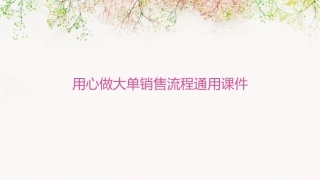 用心做大单销售流程通用课件