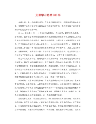 支部学习总结900字 